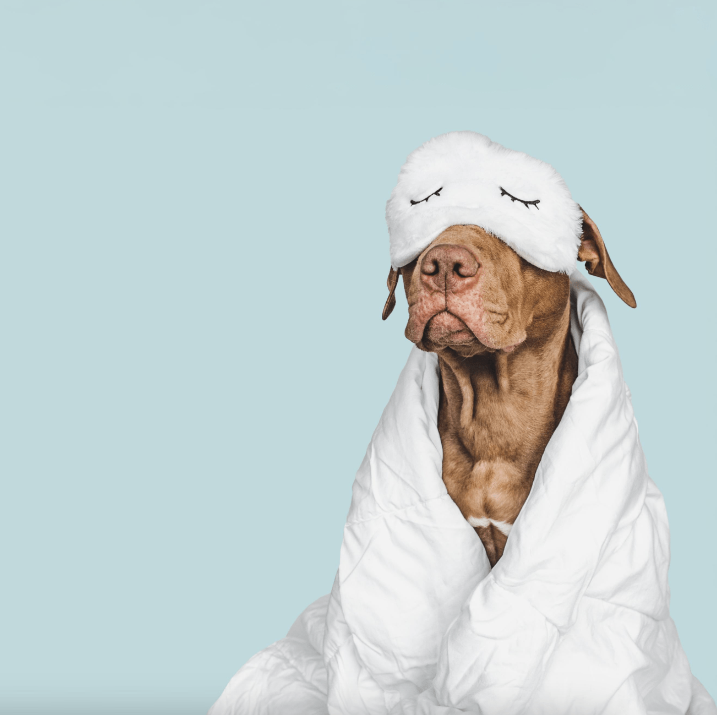 Augenmeditation